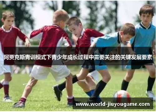 阿贾克斯青训模式下青少年成长过程中需要关注的关键发展要素